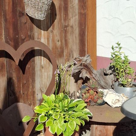 Ferienwohnung Haus am Bergli Herbolzheim Exterior foto