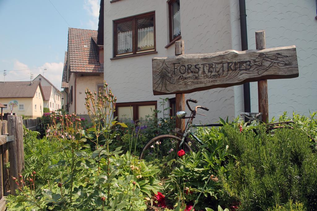 Ferienwohnung Haus am Bergli Herbolzheim Zimmer foto