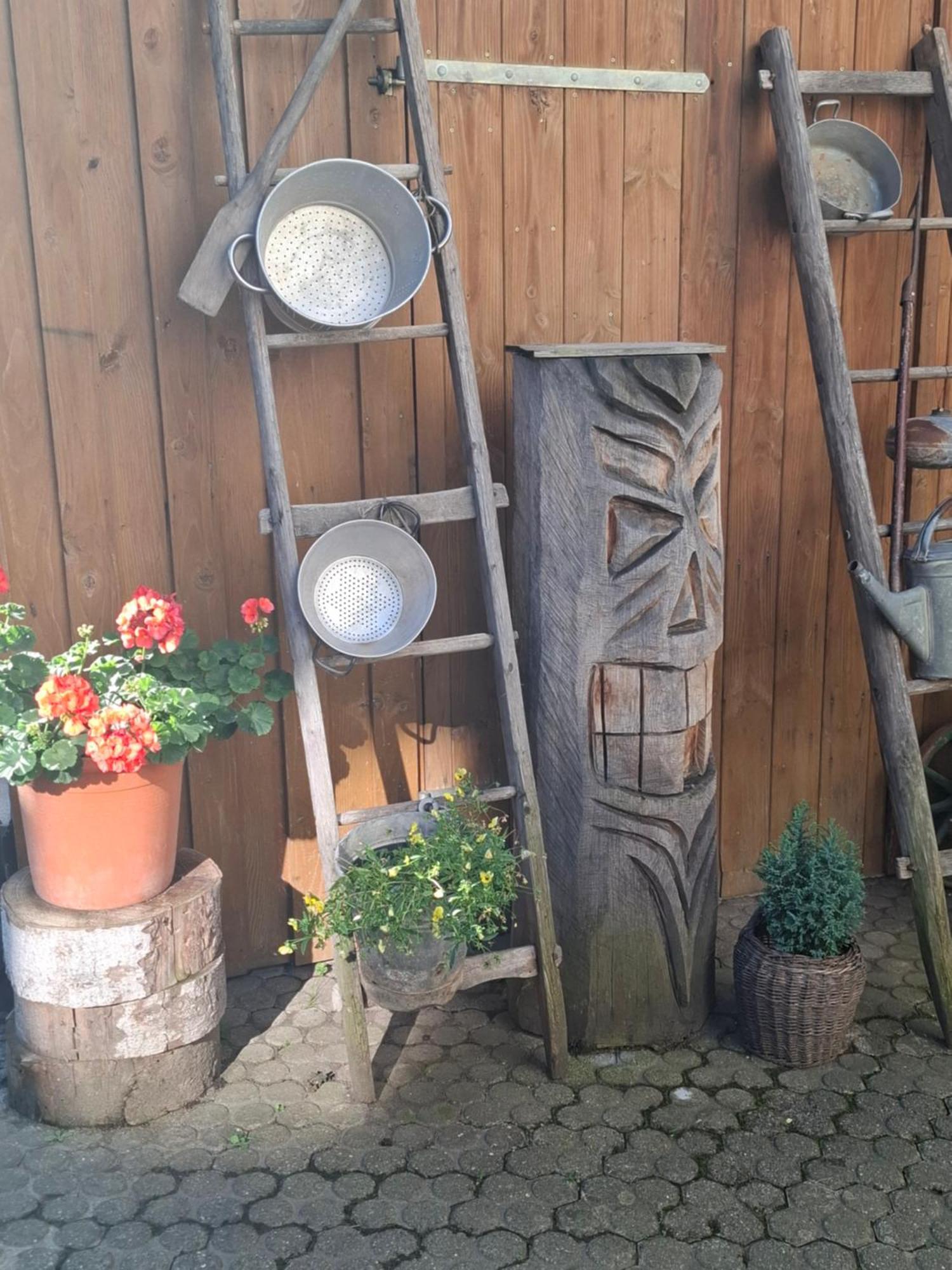 Ferienwohnung Haus am Bergli Herbolzheim Exterior foto