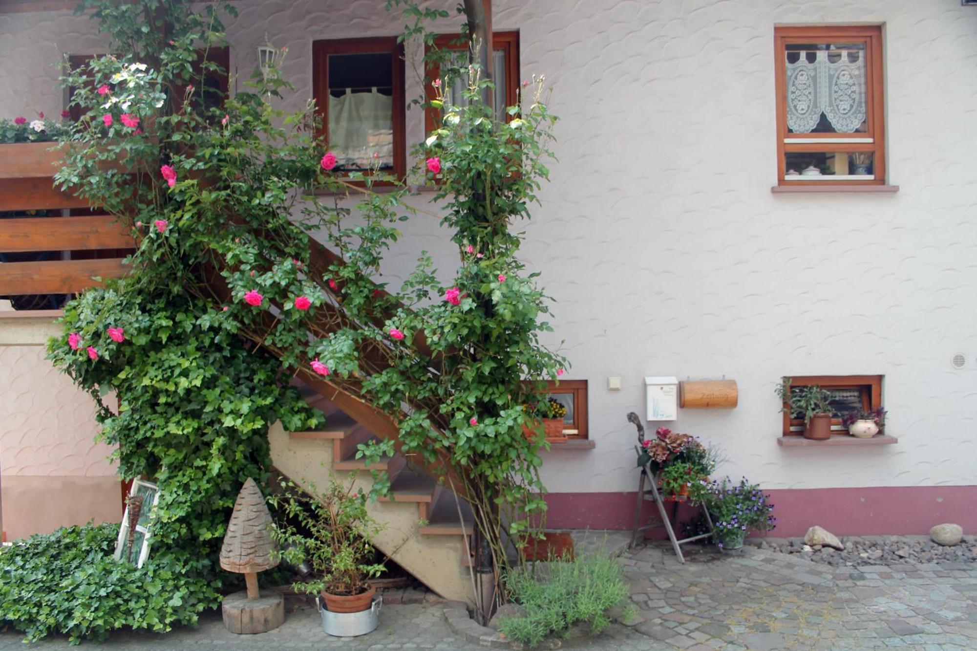 Ferienwohnung Haus am Bergli Herbolzheim Exterior foto